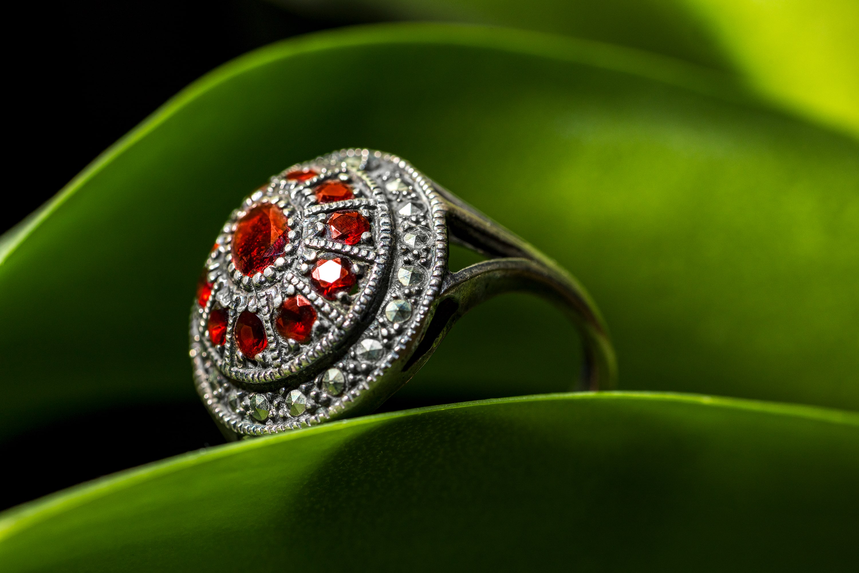 브라질 Flávio Demarchi