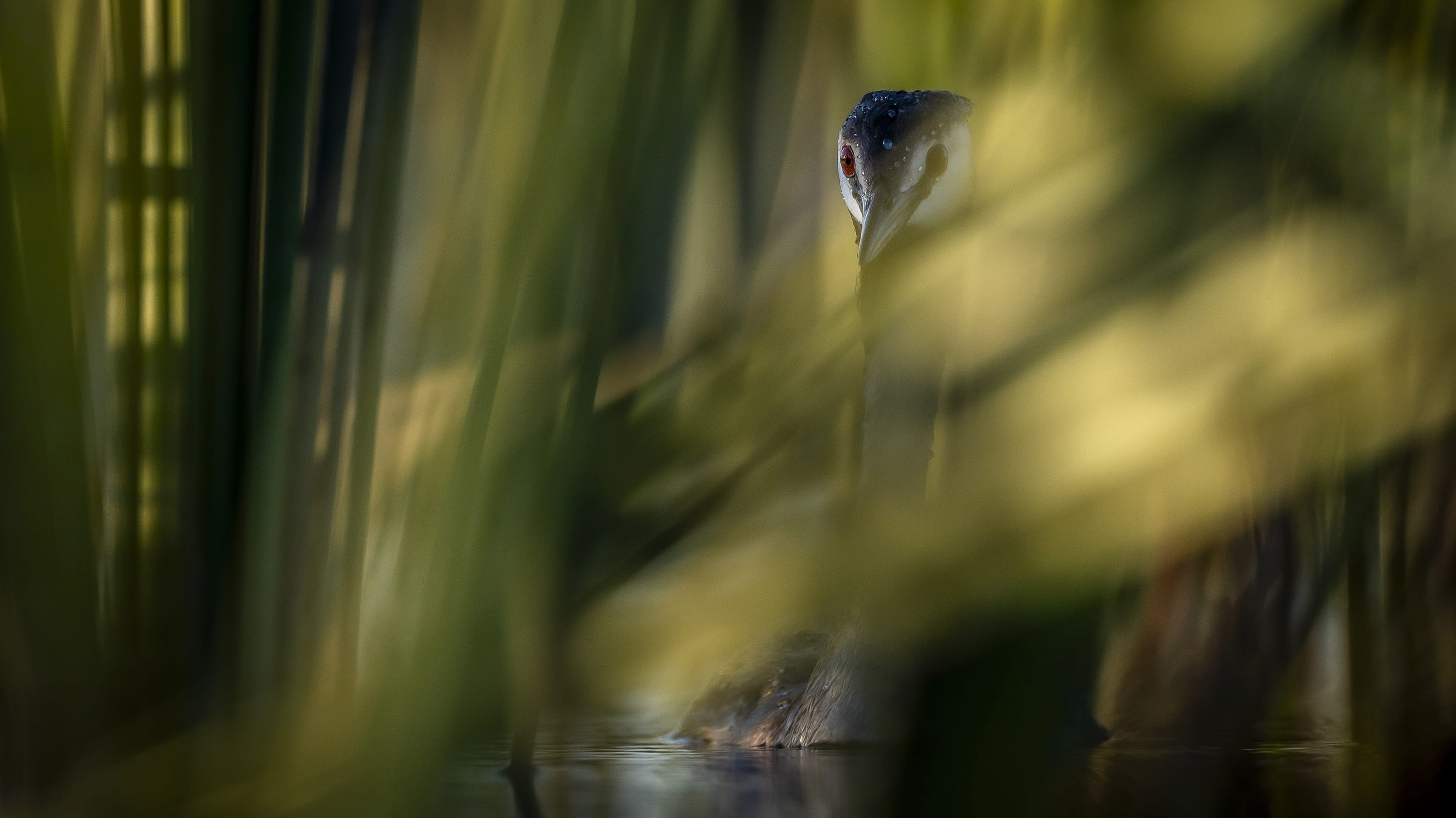 글로벌 프로페셔널즈 작품