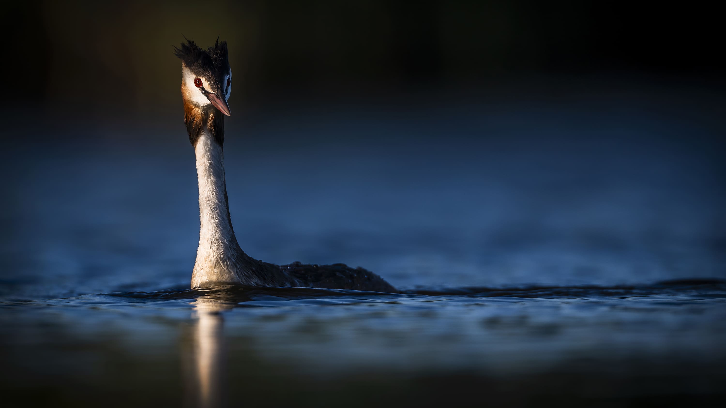 글로벌 프로페셔널즈 작품