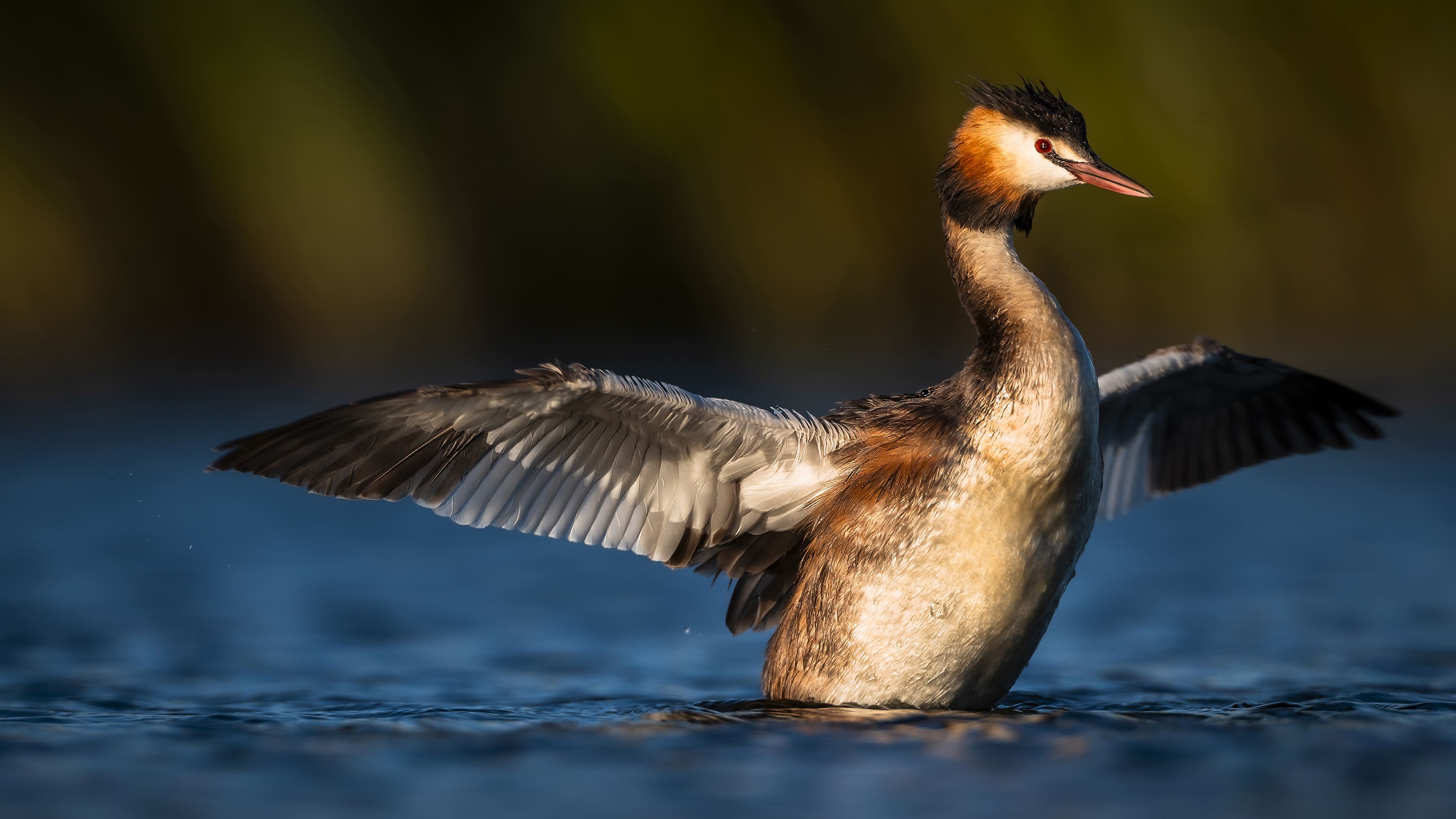 글로벌 프로페셔널즈 작품