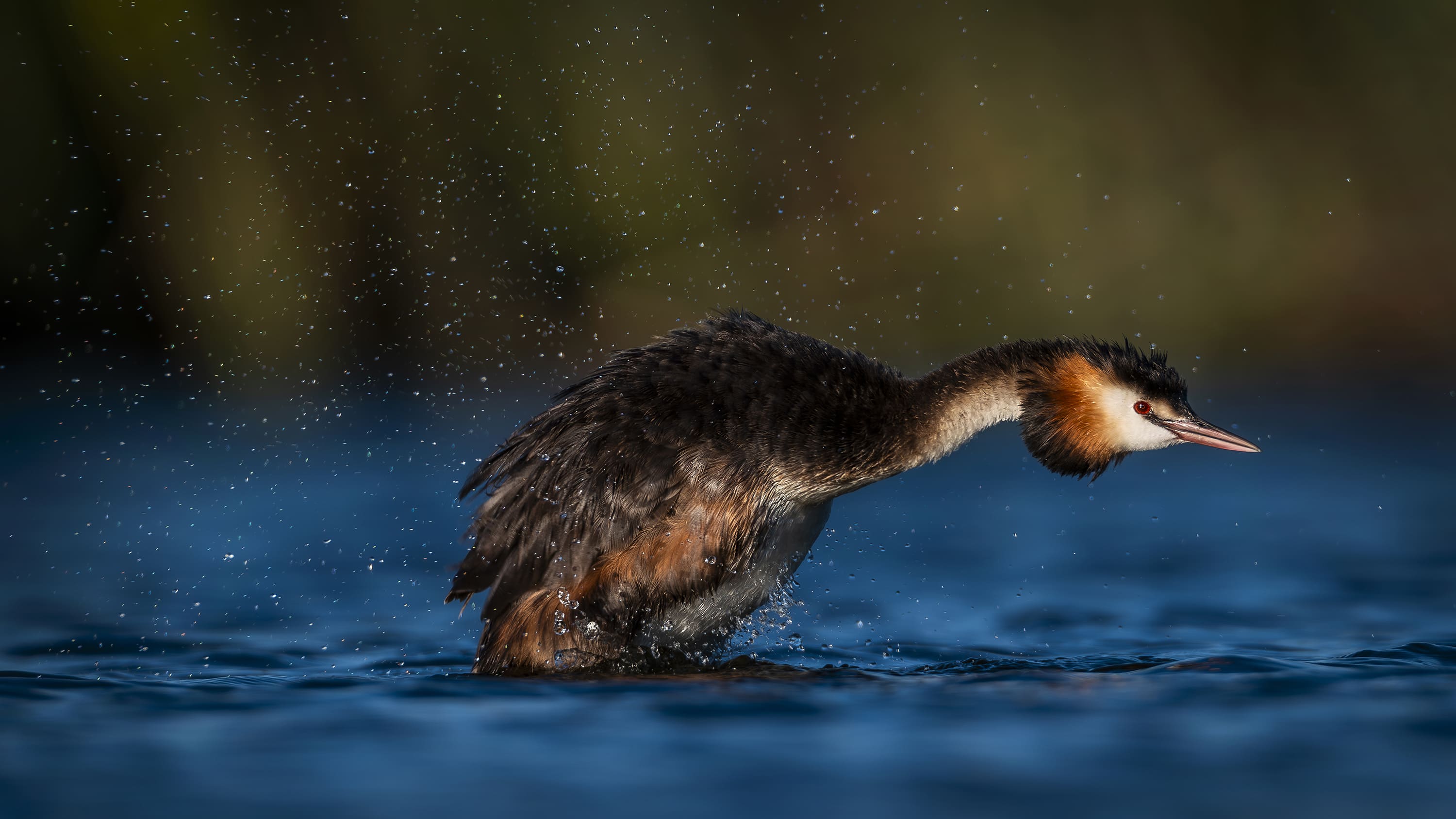글로벌 프로페셔널즈 작품