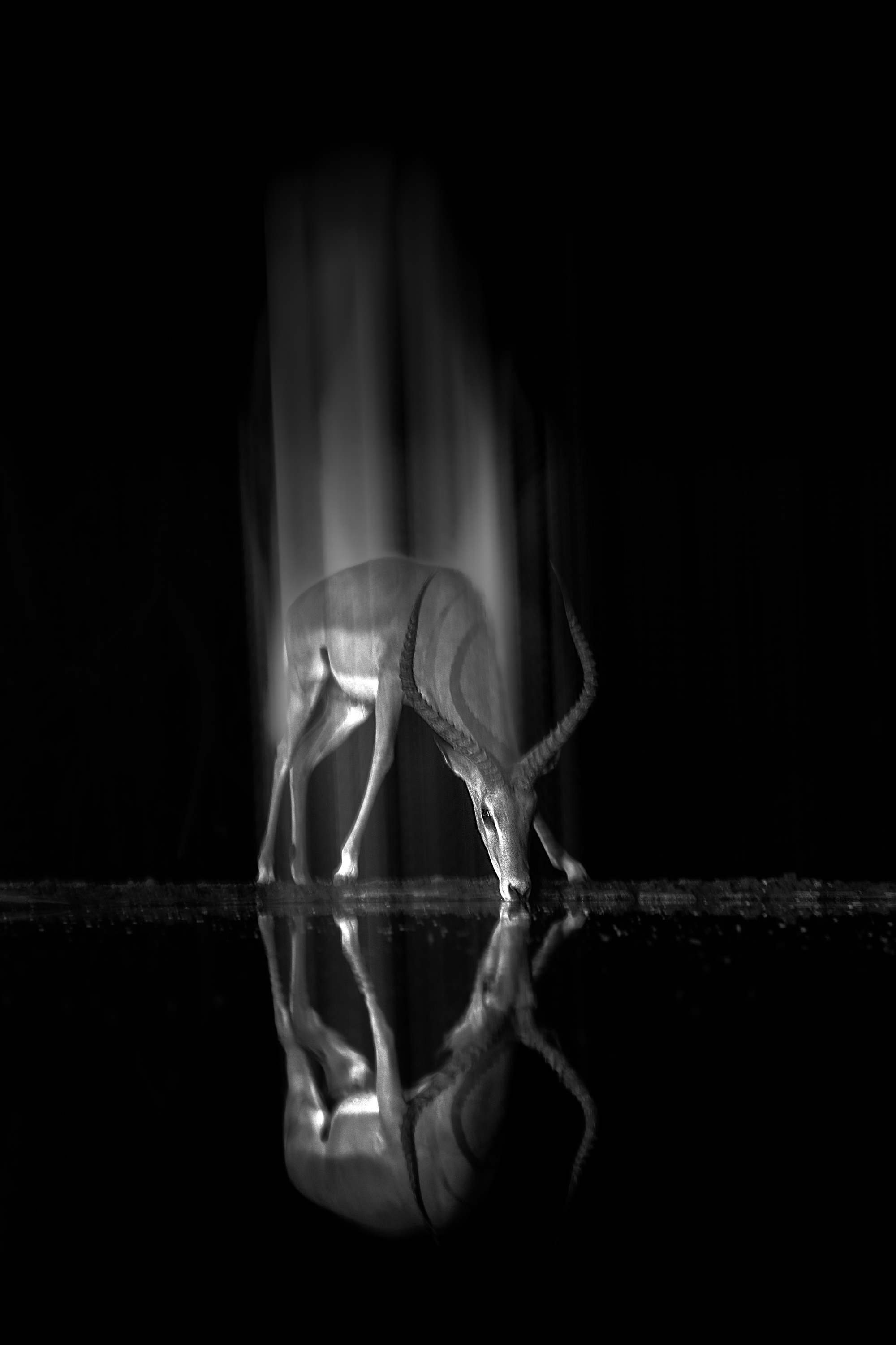 인도 Rahul Sachdev