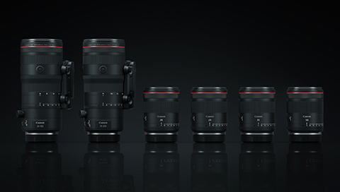 시리즈간 동일한 크기