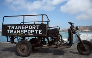 표준사진(Standard Mode) – 선명한 마무리 표현2