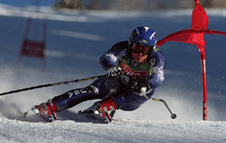 표준사진(Standard Mode) – 선명한 마무리 표현3