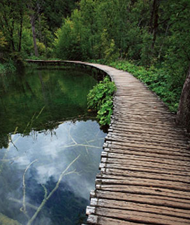 풍경사진(Landscape Mode) - 생생한 색상 표현3