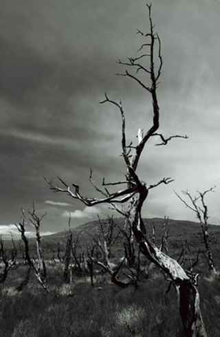 모노크롬(Monochrome Mode) - 모노크롬의 형태와 빛, 오로지 사진만을 통해 가능한 표현3