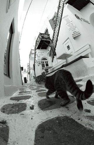 모노크롬(Monochrome Mode) - 모노크롬의 형태와 빛, 오로지 사진만을 통해 가능한 표현4